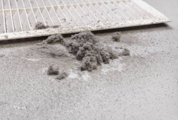 Best HVAC Maintenance and Cleaning  in Frankton, IN