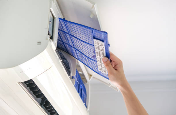 Best Air Duct Sanitizing Services  in Frankton, IN